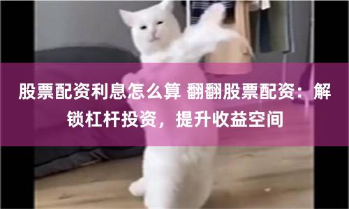 【顛覆認知】全國股票配資平臺全流程拆解：從入門到精通的財富密碼